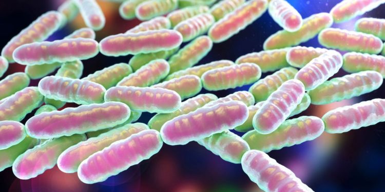 Probiyotiklerin Gizemli Dünyası